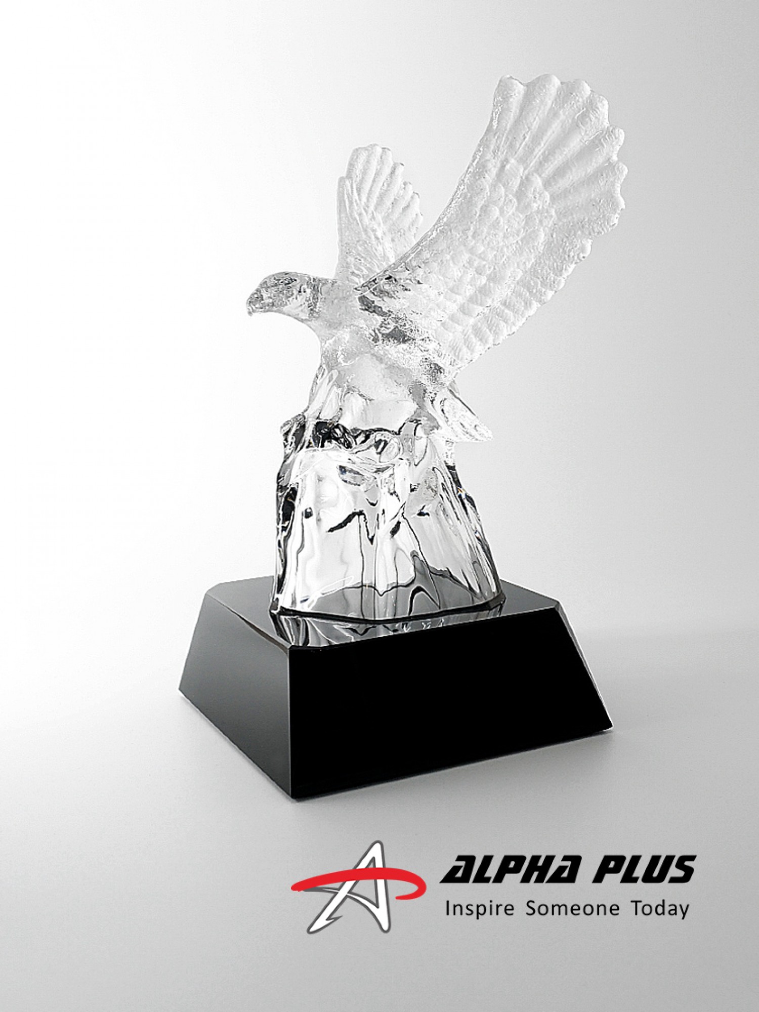 Cast Awards