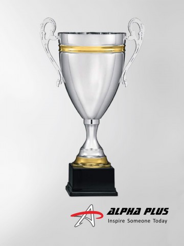 5305-4 Silver - Gold Cup