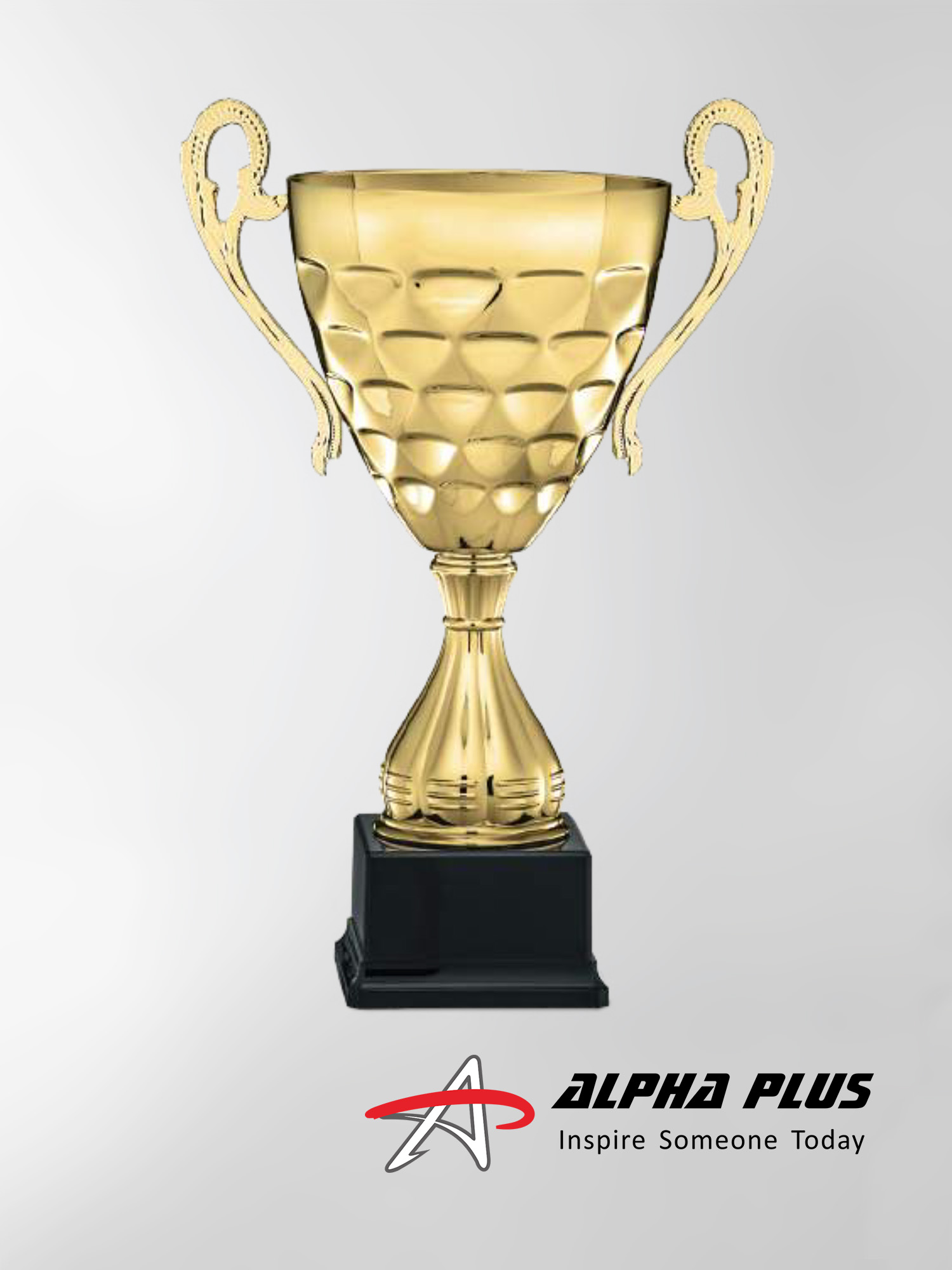 Challenge Cups