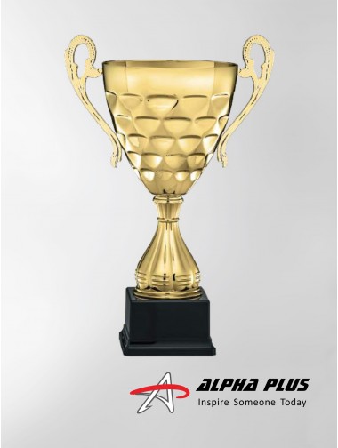 Challenge Cups