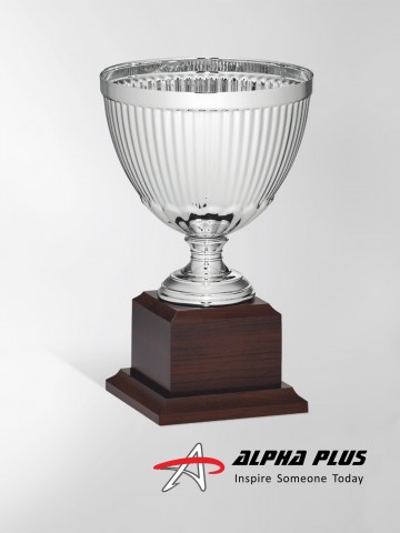 96174A Silver